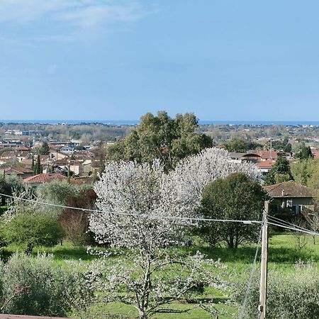 Casa Bianca Villa Пиетрасанта Екстериор снимка
