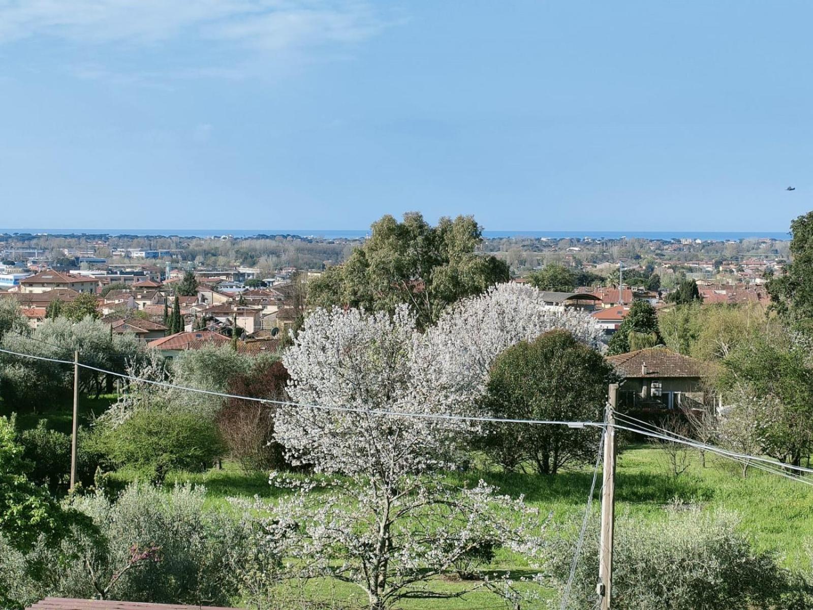 Casa Bianca Villa Пиетрасанта Екстериор снимка
